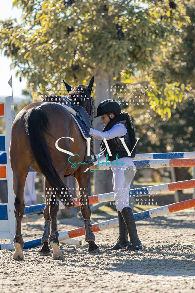 IMG_2136 | s-jay-photography - Realisiert mit Pictrs.com