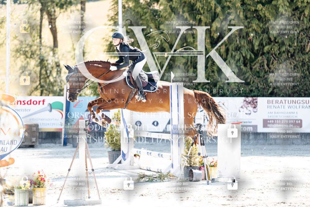 CK905223 | Turnierfotografie Pferdefotografie Trier Rheinland-Pfalz Pferdesport Reitsport Tierfotografie Sportfotografie Pferdevideo Pferdevideografie Equestrianvideography equestrianphotography  - Realisiert mit Pictrs.com