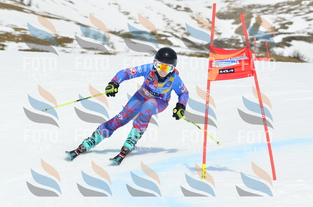 _ELE2784 | holidayphoto