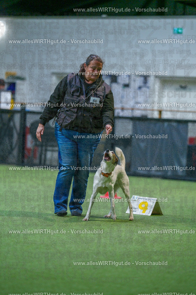 7R503328 | Professionelle Tierfotografie in Mönchengladbach von Daniel Wirth (allesWIRTHgut). Liebevolle & natürliche Bilder von Hunden & Katzen für unvergessliche Erinnerungen.