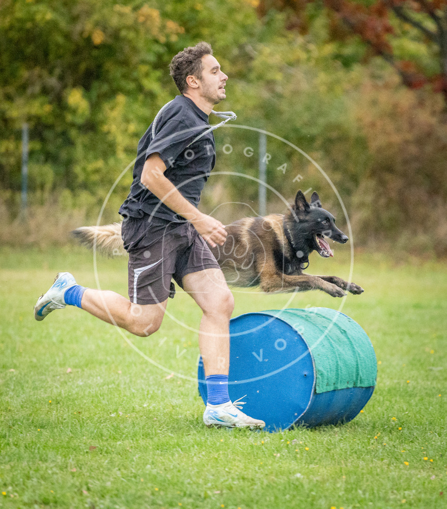 Pfotenfotografie_DV3A1026 | Hundefotografie, Tierfotograf, Pfotenfotografie, Fotoshooting Hund, Hunde Portrait, Hundesport, Hundeportraits, Heideshooting, Hunde, Sportfotograf, Hundefotograf, Turnierhundsport, THS,  - Realisiert mit Pictrs.com