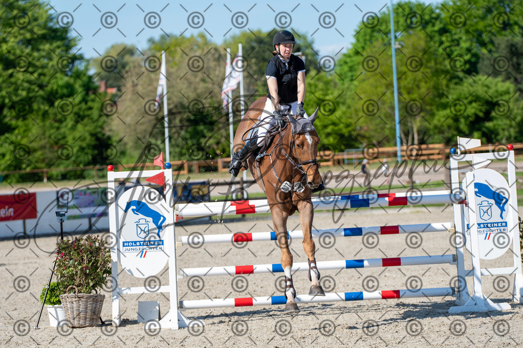 KPT_1676 | andre_photographic