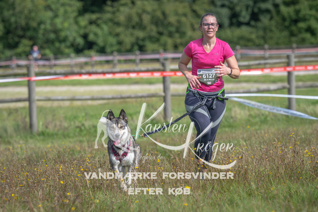 1202_ZZ90941 | kk-dogfotos