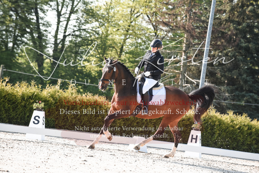 20230518_JK-Röhrsdorf-09-0717 | Pferde- und Turnierfotografie in Westsachsen. Pferdeportraits, Auftragszeichnungen und intuitive Kunst.