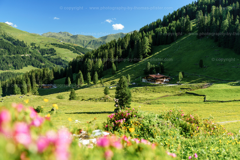 Loschboden Frühsommer copyright  Thomas Pfister-23 | PHOTOGRAPHY BY THOMAS PFISTER