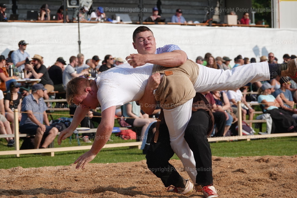 DSC04468 | Schwingen - Realisiert mit Pictrs.com