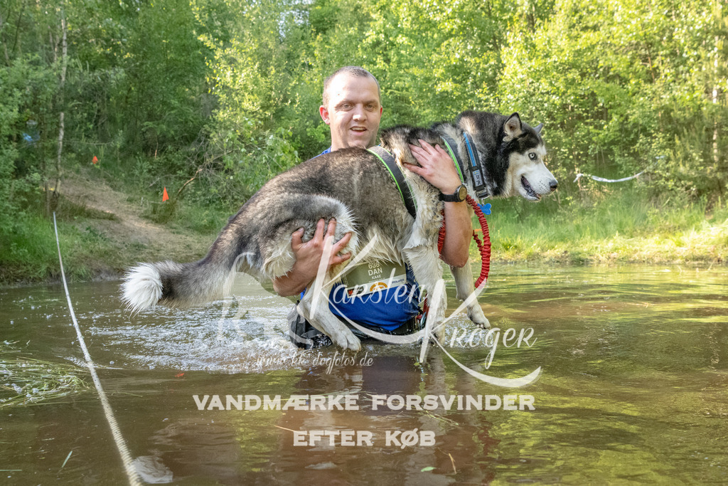 1738DKK992254 | kk-dogfotos