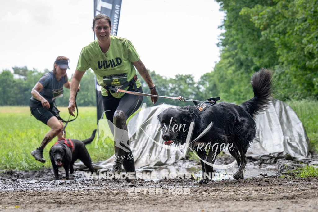 1110_ZZ91796 | kk-dogfotos