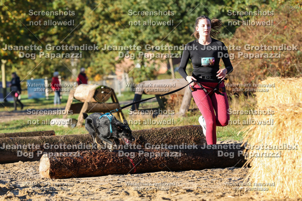 Dog Paparazzi - Strongdog 10-25-959 | Dog Paparazzi Jeanette Grottendiek Fotografie & Videografie - Realisiert mit Pictrs.com