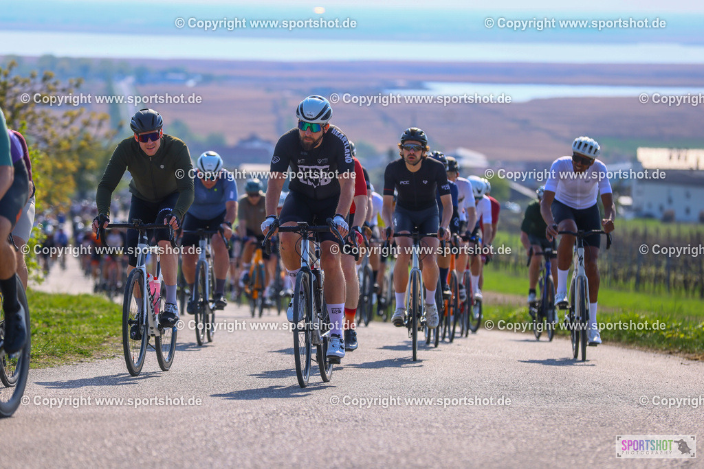 TRA_0499 | Neusiedlersee Radmarathon 2026@sportshot_your_pictrs #yourpictures#roadtowm2029 #nrm #neusiedlerseeradmarathon #neusiedlersee #neusiedlerseetourismus #burgenland #mörbisch #nrm26 #burgenlandtourismus #voglundco #poweredbyburgenlandtourismus #radsport #rad #marathon #ucigranfondo #visitburgenland #ucigranfondoworldseries