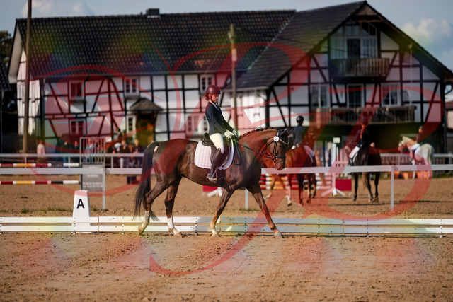 2026_10_03_Siefer-Hof_114955_Z63_28365092 | Professionelle Reitsport-, Turnier- und Eventfotografie von Robert Broda. Galerien mit ausgewählten und bearbeiteten Bildern direkt online ansehen und bestellen.