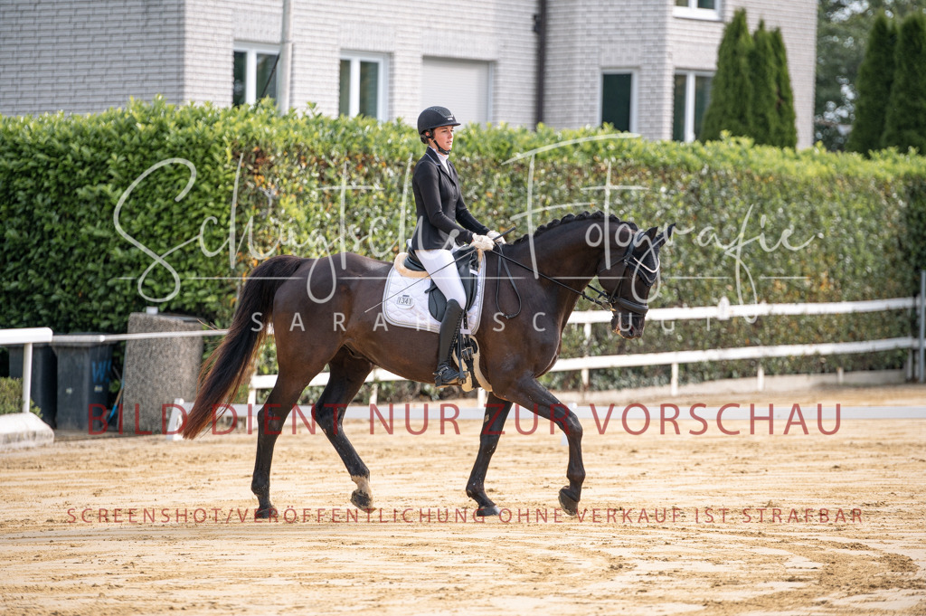Schugtsche-Aluta25-40.DressurprfA_-47 | Schugtsche Fotografie - Realisiert mit Pictrs.com