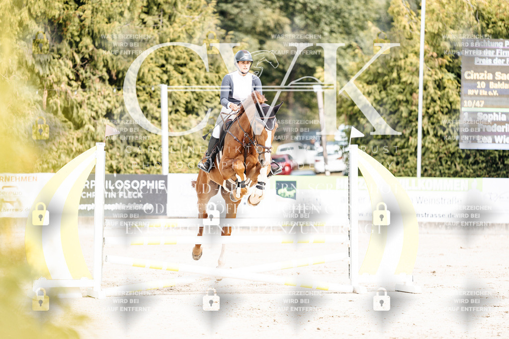 CK902105 | Turnierfotografie Pferdefotografie Trier Rheinland-Pfalz Pferdesport Reitsport Tierfotografie Sportfotografie Pferdevideo Pferdevideografie Equestrianvideography equestrianphotography  - Realisiert mit Pictrs.com