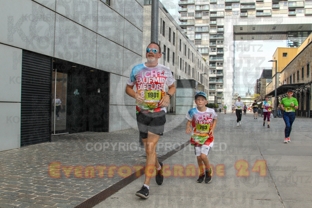 250920_1333_EV4_6078 | Sportfotografie im Rhein-Sieg Kreis, Köln, Bonn, NRW, Rheinland Pfalz, Hessen, etc. Unser Tätigkeitsfeld umfasst den Laufsport vom Volkslauf über den Marathon, Duathlon, Triathon bis zum Ultralauf wie Kölnpfad Ultra oder Schindertrail.