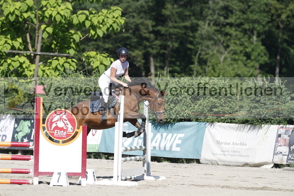 _MG_2516 | equestrian-live-com