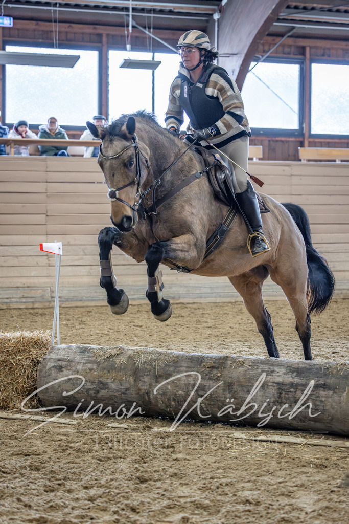 20260221-_3LI0405 | Tierfotografie Pferde, Hunde, Katzen, Haustiere.
Turnierfotografie Reitturniere, Reiten, Springreiten, Dressur in Hanau, dem Main-Kinzig-Kreis und dem Rhein-Main- Gebiet um Frankfurt