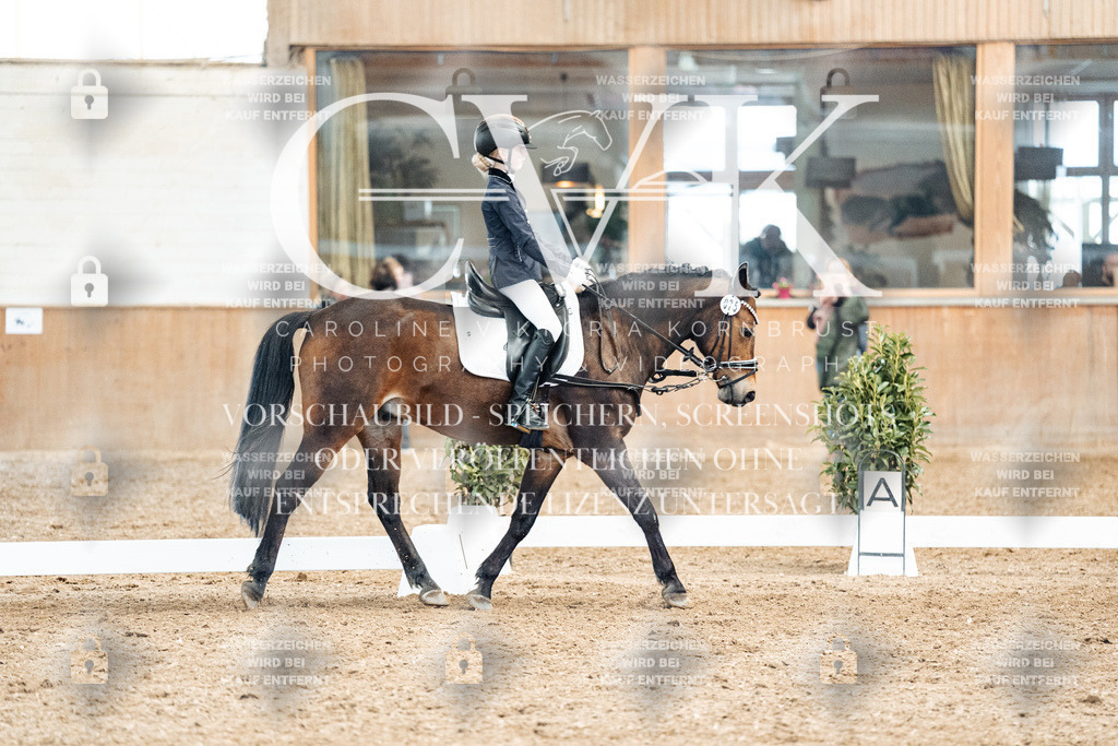 CK900411 | Turnierfotografie Pferdefotografie Trier Rheinland-Pfalz Pferdesport Reitsport Tierfotografie Sportfotografie Pferdevideo Pferdevideografie Equestrianvideography equestrianphotography  - Realized with Pictrs.com