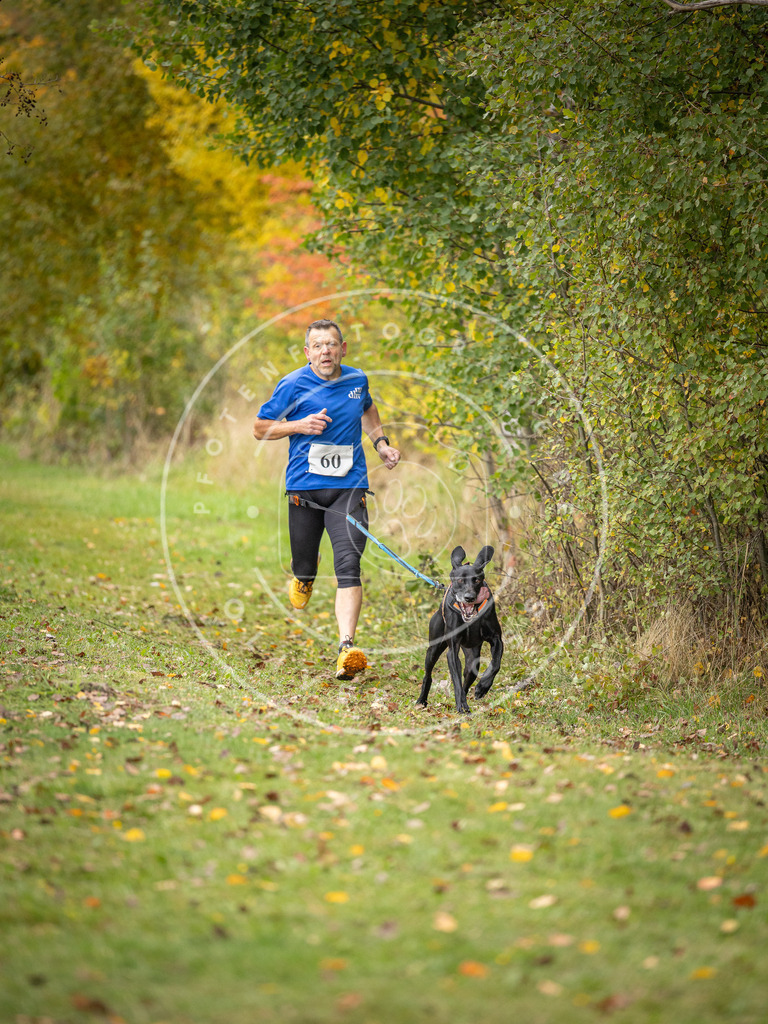 Pfotenfotografie_DV3A2643 | Hundefotografie, Tierfotograf, Pfotenfotografie, Fotoshooting Hund, Hunde Portrait, Hundesport, Hundeportraits, Heideshooting, Hunde, Sportfotograf, Hundefotograf, Turnierhundsport, THS,  - Realisiert mit Pictrs.com