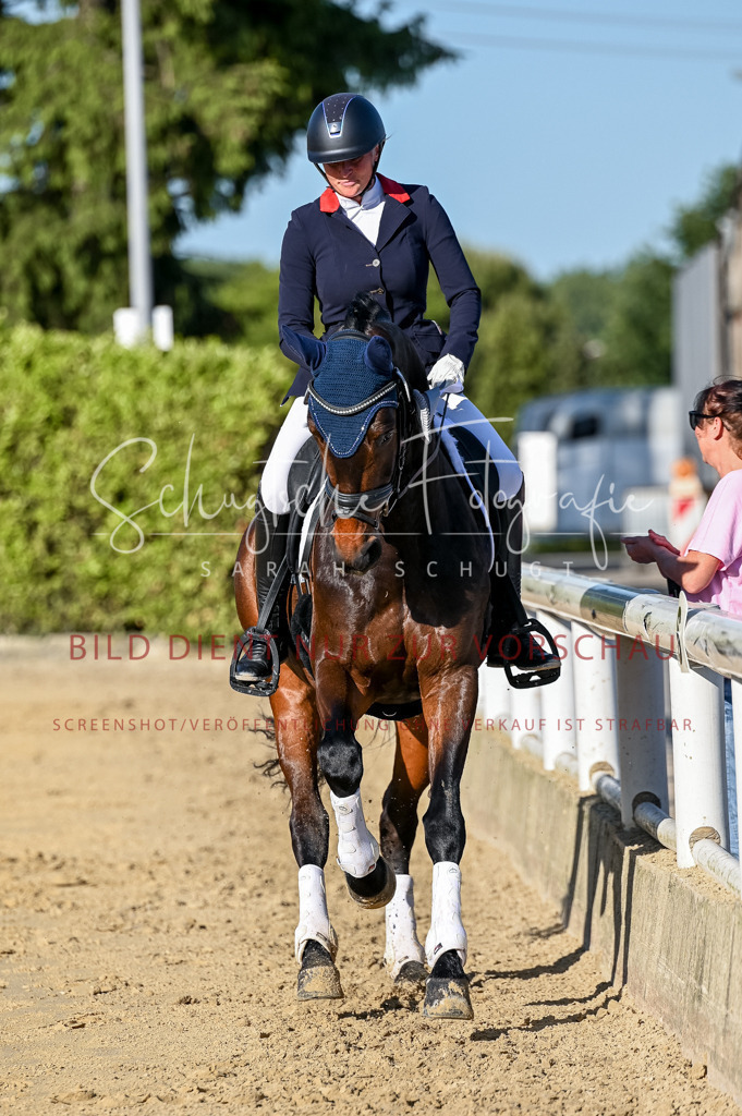 Schugtsche-Aluta25-51.Dressurpferdeprf.M-101 | Schugtsche Fotografie - Realisiert mit Pictrs.com