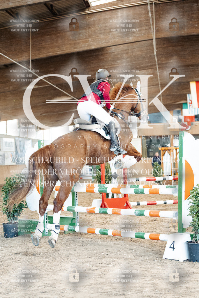 CK904976 | Turnierfotografie Pferdefotografie Trier Rheinland-Pfalz Pferdesport Reitsport Tierfotografie Sportfotografie Pferdevideo Pferdevideografie Equestrianvideography equestrianphotography  - Realisiert mit Pictrs.com