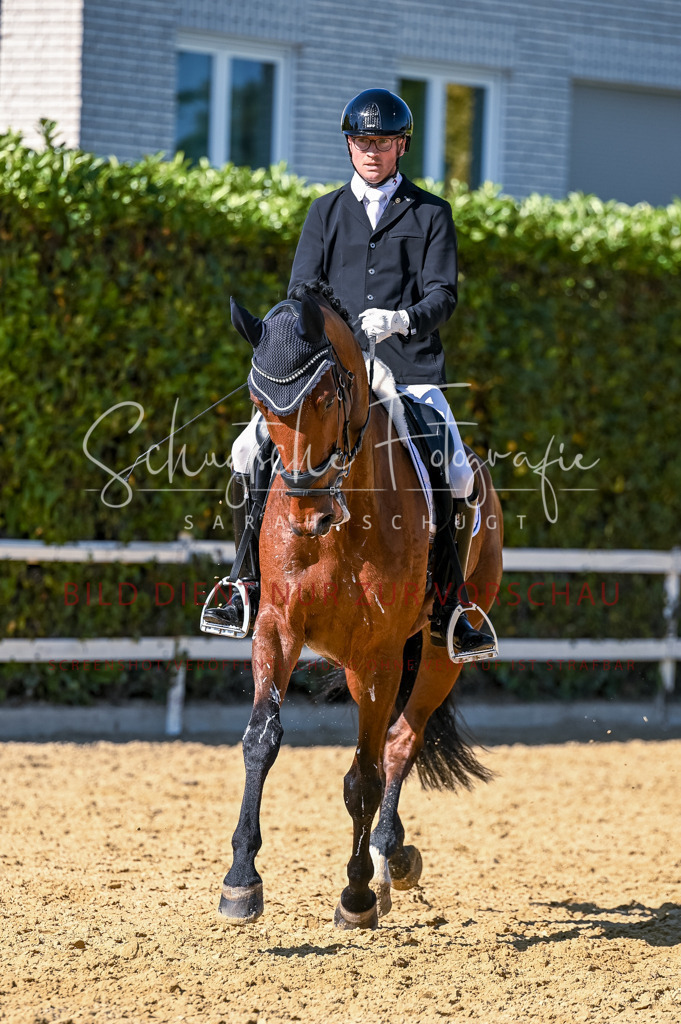 Schugtsche-Aluta25-50.Dressurpferdeprf.L-256 | Schugtsche Fotografie - Realisiert mit Pictrs.com