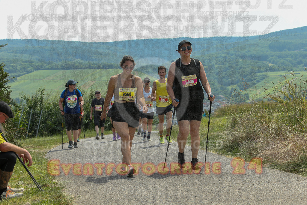 250614_1358_EX1_9814 | Sportfotografie im Rhein-Sieg Kreis, Köln, Bonn, NRW, Rheinland Pfalz, Hessen, etc. Unser Tätigkeitsfeld umfasst den Laufsport vom Volkslauf über den Marathon, Duathlon, Triathon bis zum Ultralauf wie Kölnpfad Ultra oder Schindertrail.