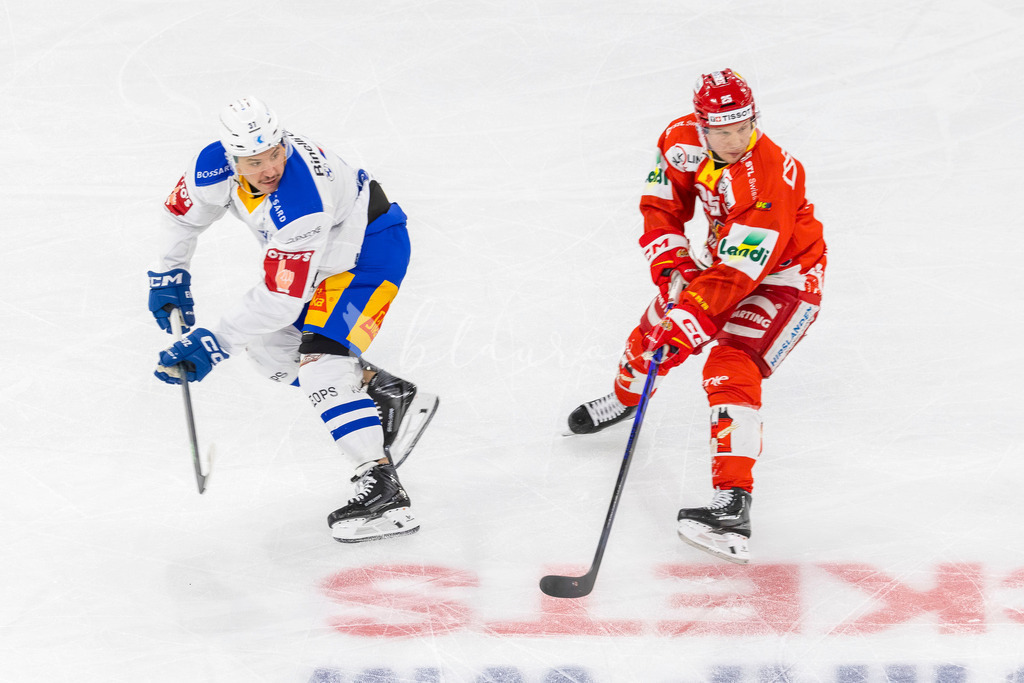 EHCB vs EVZ 20260227_WB-7274 | Sportbilder, Sportfotograf, Hochzeits- und Eventfotografin, Flugshows, Portraits und Tiershooting, Aviation, Downhill, Nationalleague, Swissleague, International