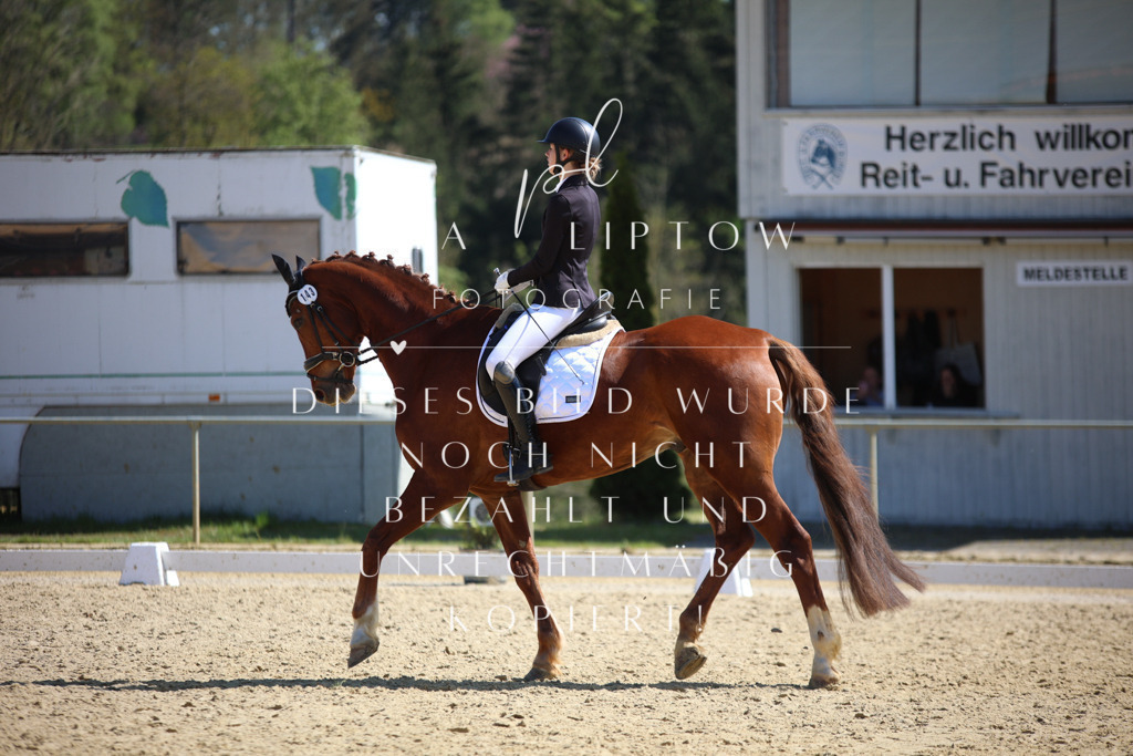 IMGT7356 | pl-fotografie