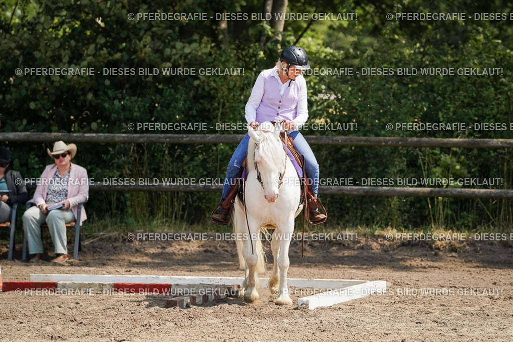 DSC07252 | Pferdegrafie