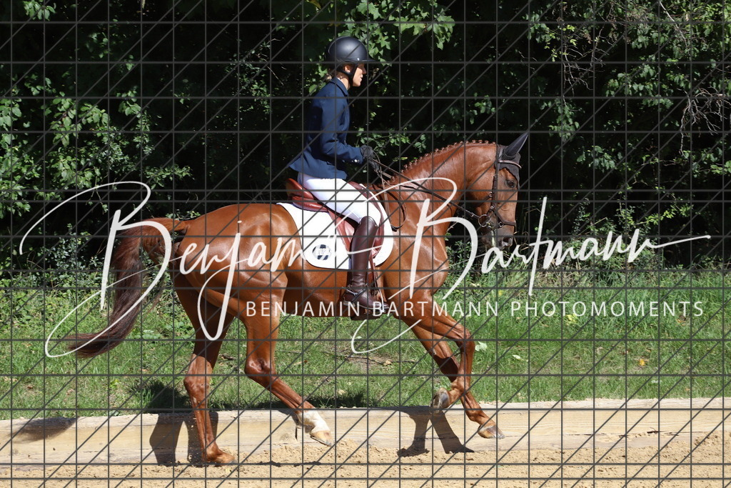 IMG_5834 | Benjamin Bartmann Photomoments