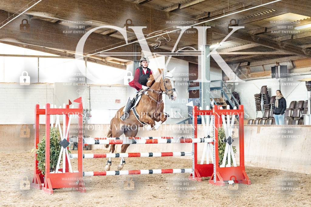 CK906304 | Turnierfotografie Pferdefotografie Trier Rheinland-Pfalz Pferdesport Reitsport Tierfotografie Sportfotografie Pferdevideo Pferdevideografie Equestrianvideography equestrianphotography  - Realized with Pictrs.com