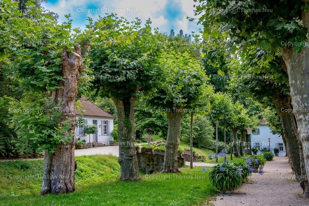 DSC_1681 | Der Staatspark Fürstenlager in Bensheim Auerbach, an der hessischen Bergstraße- ist ein wunderschöner Landschaftspark nach englischen Vorbild. Es war die Sommerresidenz der Darmstädter Fürstenfamilie die hier das "einfache Landleben" genossen. Zu jeder Jahreszeit kann man das Fürstenlager als Ausflugsziel empfehlen. Im Herrenhaus ist eine Gastronomie untergebracht. Im Sommer findet auf der Bühne vor der großen Wiese ein Opern-Air statt, 