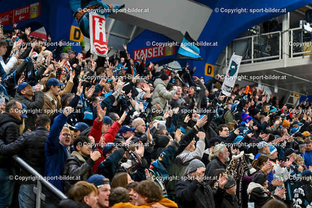 AUT, ICE, Black Wings Linz (AUT) vs Fehervar AV 19 (HUN) | 22.12.2023, Eishalle Linz, AUT, ICE Eishockey Liga, Black Wings Linz (AUT) vs Fehervar AV 19 (HUN), im Bild Fans - Zuschauer EHC Black Wings Linz (BWL)


// ICE win2day Hockey League Match between Black Wings Linz (AUT) vs Fehervar AV 19 (HUN) in Linz, Austria on 2023/12/22