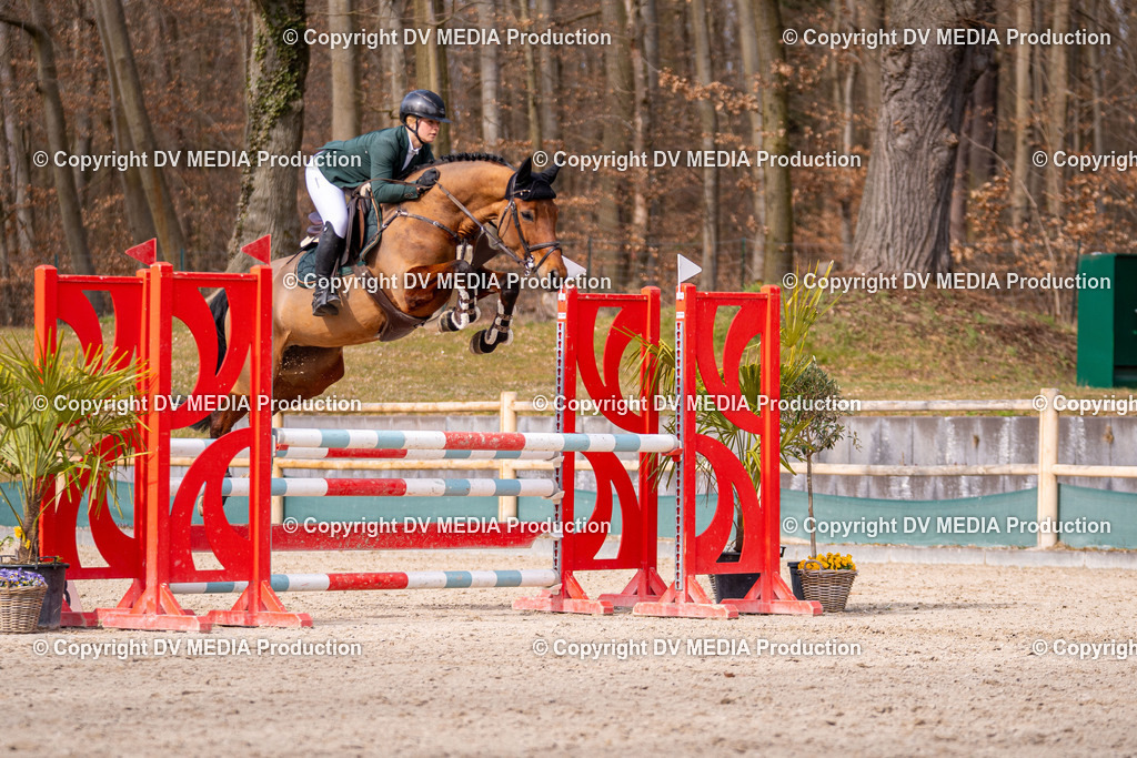 Kranichstein Tag 1-783 | dv-media-shop - Realisiert mit Pictrs.com