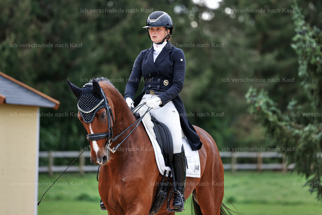 11-048-Dressur S___-StoibPH-1395 | working equitationturnier fotograf videograf stoibphotography marixx film working equitation deutschland reitsport turnierfotografie eventfotografie equestrian events