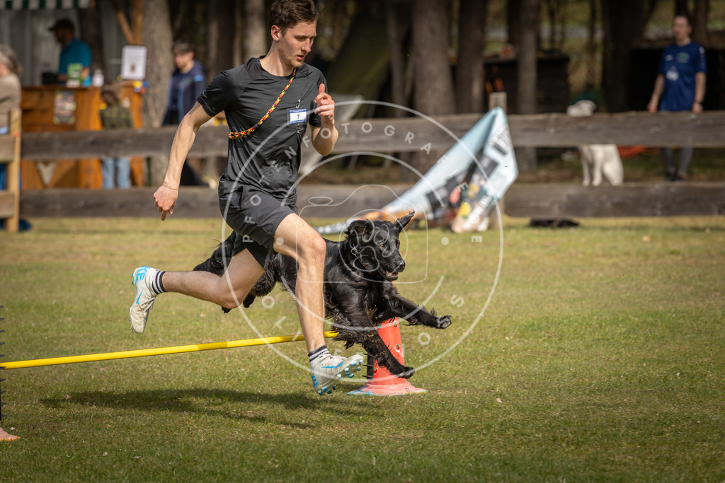 Pfotenfotografie_DV3A9324 | Hundefotografie, Tierfotograf, Pfotenfotografie, Fotoshooting Hund, Hunde Portrait, Hundesport, Hundeportraits, Heideshooting, Hunde, Sportfotograf, Hundefotograf, Turnierhundsport, THS,  - Realisiert mit Pictrs.com