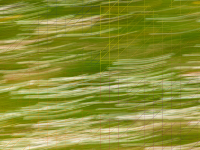 Wiesenwind – Abstraktes Natur-Wandbild | Auf diesem Kunstwerk verschmelzen die vertrauten Farben einer Frühlingswiese durch eine sanfte Kamerabewegung während der Belichtung. Inspiriert von der puren Frische und der Leichtigkeit eines warmen Windhauchs im Gras löst das Bild feste Strukturen auf. Es fängt stattdessen das lebendige Gefühl eines unbeschwerten Sommertags ein, der voller Helligkeit und natürlicher Energie steckt.Ein sattes, lebendiges Grün bildet das Fundament dieses Bildes, durch das sich die weißen Nuancen der Gänseblümchen und vereinzelte sonnengelbe Akzente wie feine Pinselstriche ziehen. Diese fließenden Übergänge schaffen eine erfrischende und zugleich harmonische Atmosphäre. Das Bild vermittelt ein Gefühl von Freiheit und Vitalität und lädt dazu ein, tief durchzuatmen und die Lebendigkeit der Natur im eigenen Zuhause zu spüren.Durch seinen minimalistischen und malerischen Charakter wird diese Fotografie zu einem ganz besonderen Blickfang an deiner Wand. Sie bringt eine spürbar natürliche, moderne Frische in den Raum und verwandelt jede Umgebung in eine Oase der Ruhe und Erholung. - Realisiert mit Pictrs.com