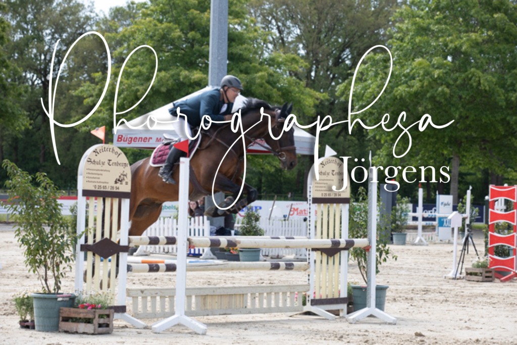 IMG_4042 | photographesa-joergens - Realisiert mit Pictrs.com