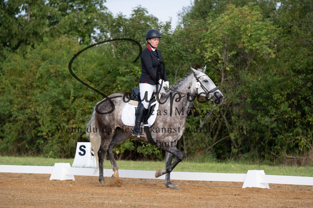 A7V03717 | Turnier/Reitfotograf