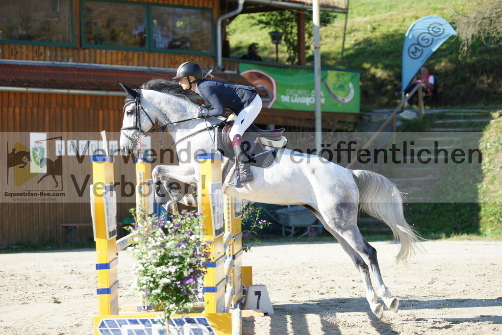 DSC02249 | equestrian-live-com