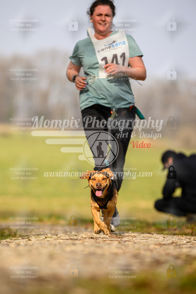 MompixPhotography_6ReiatRennen2026_SA_HappyDog-61 | PayLife