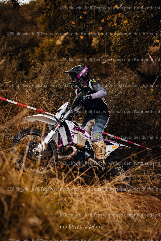 E68A2954 | blick_win_kel