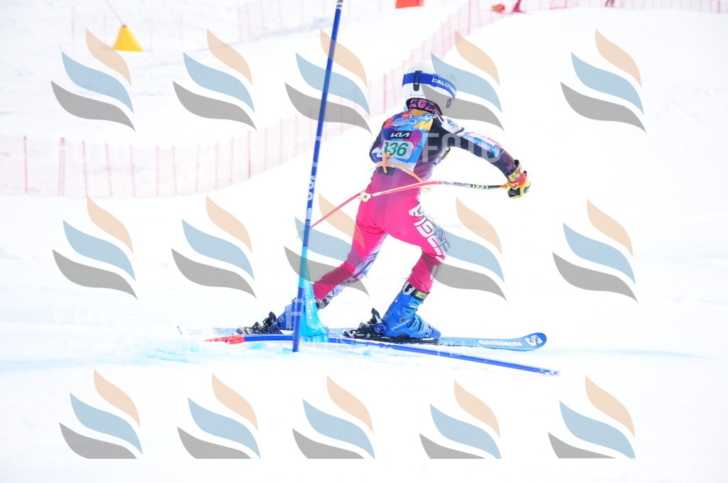 DSC_3237 | holidayphoto