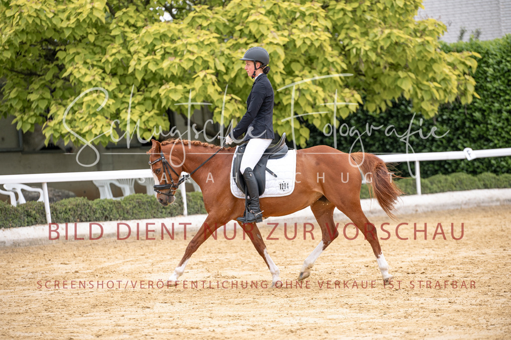Schugtsche-Aluta25-40.DressurprfA_-398 | Schugtsche Fotografie - Realisiert mit Pictrs.com