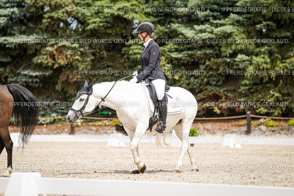 DSC03896 | Pferdegrafie