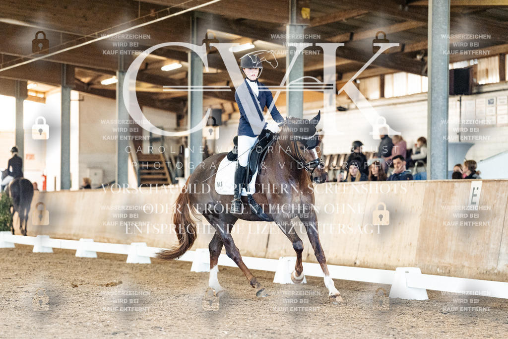 CK906862 | Turnierfotografie Pferdefotografie Trier Rheinland-Pfalz Pferdesport Reitsport Tierfotografie Sportfotografie Pferdevideo Pferdevideografie Equestrianvideography equestrianphotography  - Realisiert mit Pictrs.com