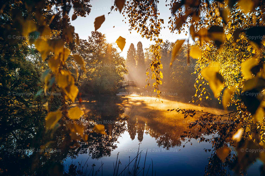 Johanna-Park | Der Johanna-Park in Leipzig verbindet Ruhe, Natur und Citynähe – ideal für Spaziergänge, Entspannung und Ausblicke auf die Stadtkulisse. - Realisiert mit Pictrs.com