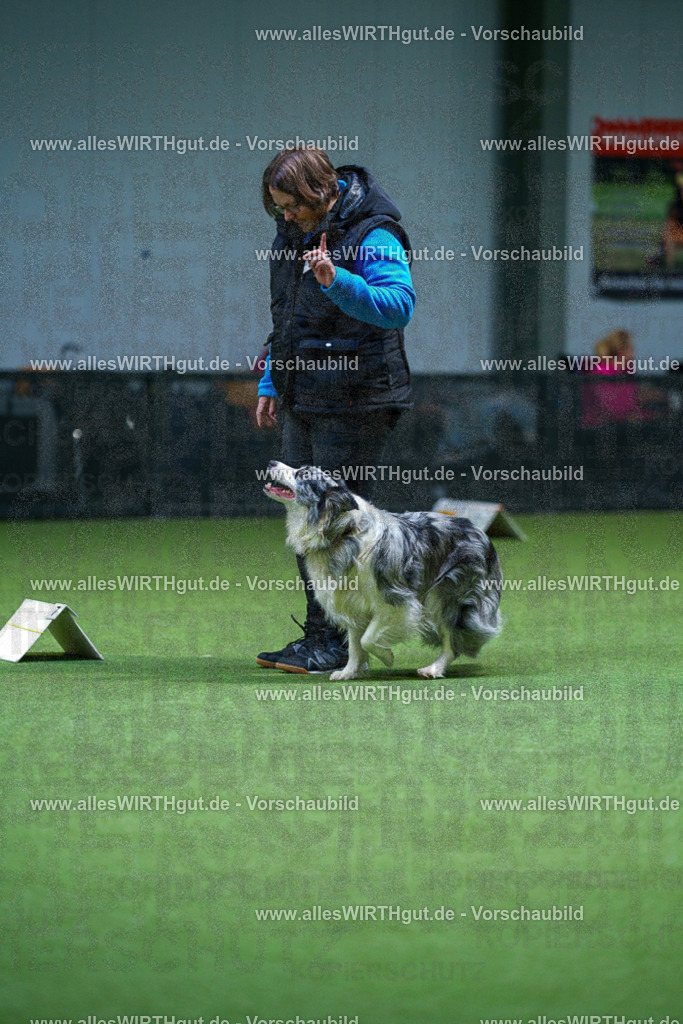 7R506284 | Professionelle Tierfotografie in Mönchengladbach von Daniel Wirth (allesWIRTHgut). Liebevolle & natürliche Bilder von Hunden & Katzen für unvergessliche Erinnerungen.