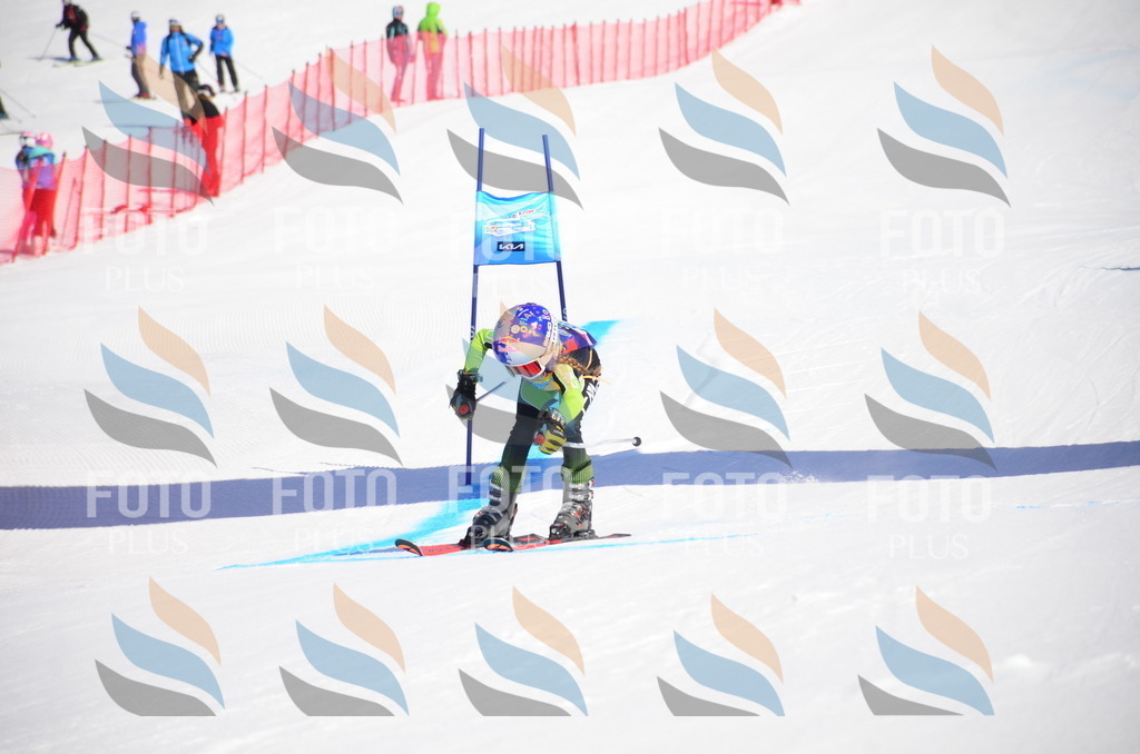 VR4_8935 | holidayphoto