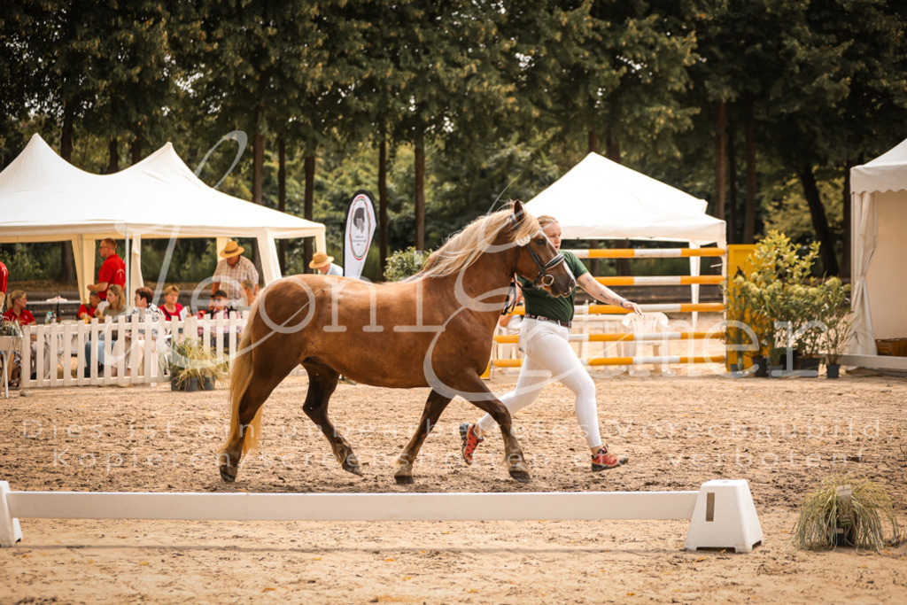 5.Sa00012 | Leoni Ertmer Photography - Realisiert mit Pictrs.com